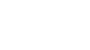 Secretly Group logo